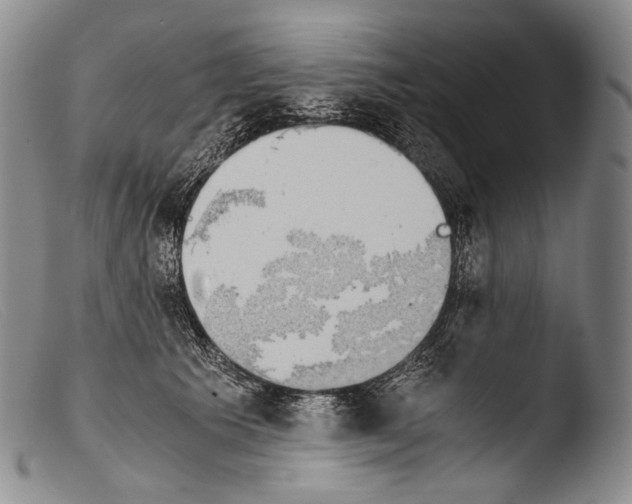 X0000103960609200810311616