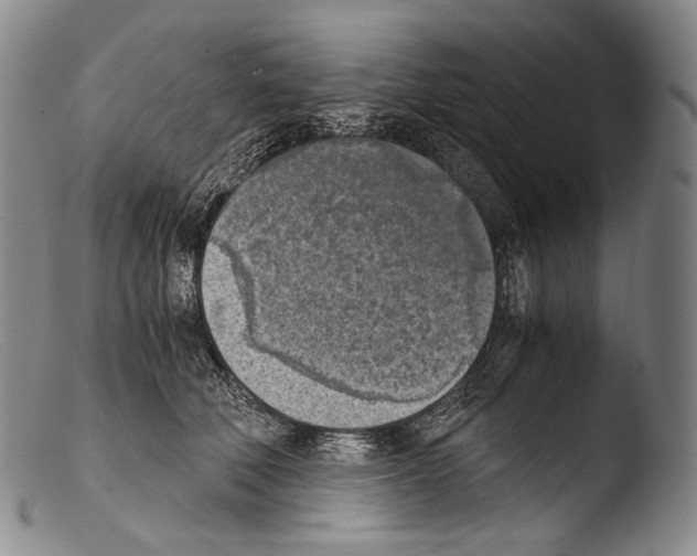 X0000103960610200810311616