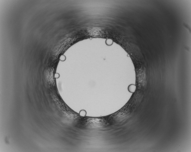 X0000103960611200810311616