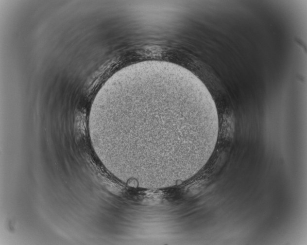 X0000103960612200810311616
