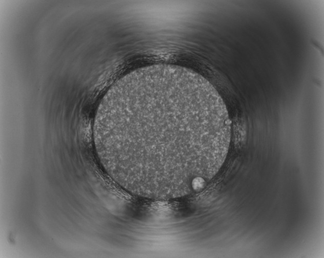 X0000103960613200810311616