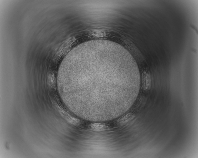 X0000103960614200810311616