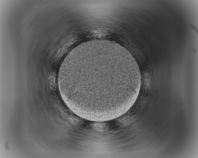 X0000103960615200810311616