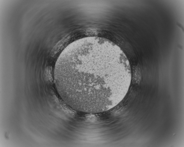 X0000103960616200810311616