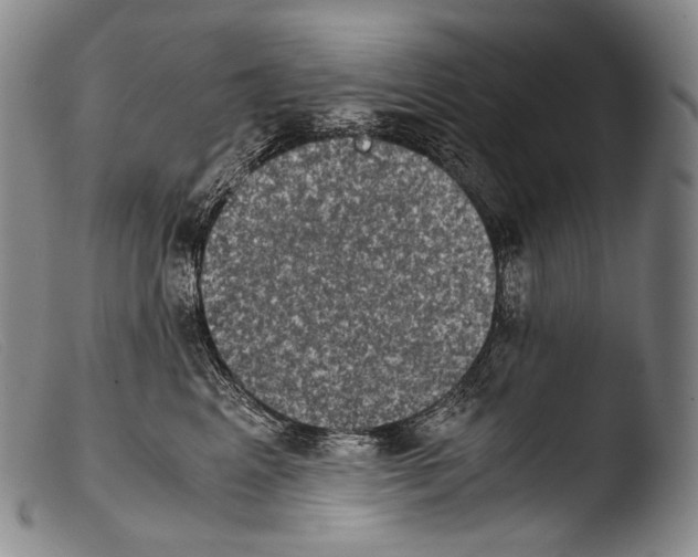 X0000103960617200810311616