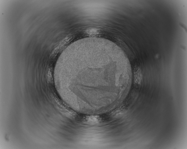 X0000103960618200810311616