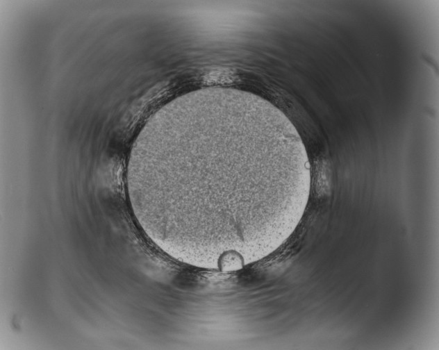 X0000103960619200810311616