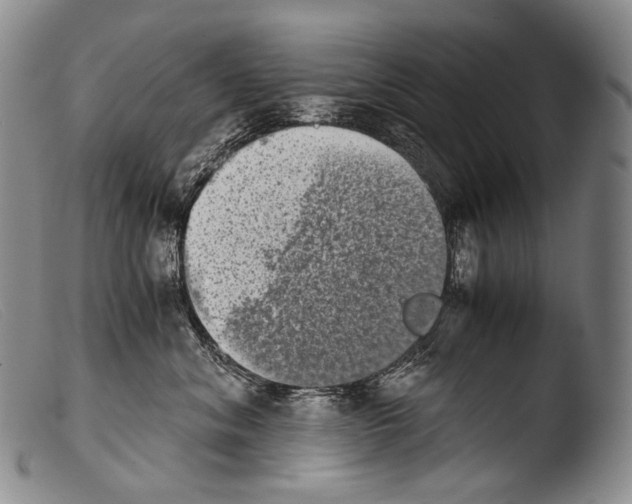 X0000103960620200810311616