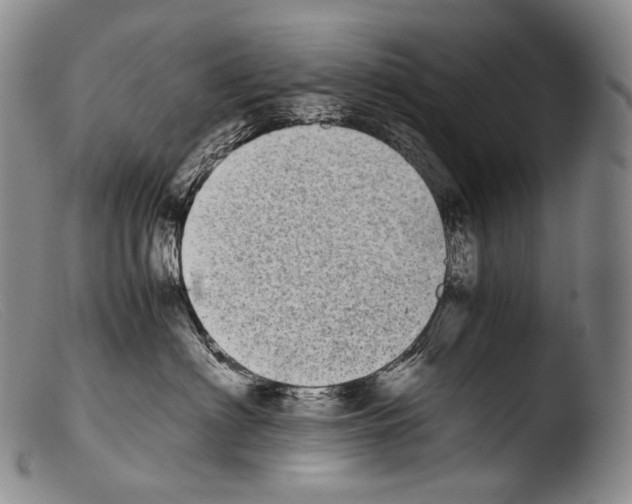 X0000103960622200810311615