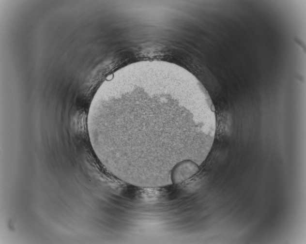 X0000103960623200810311615