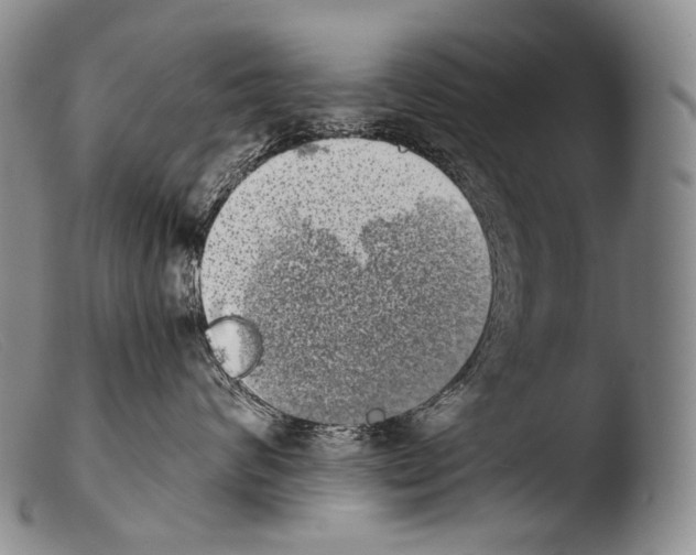 X0000103960624200810311615