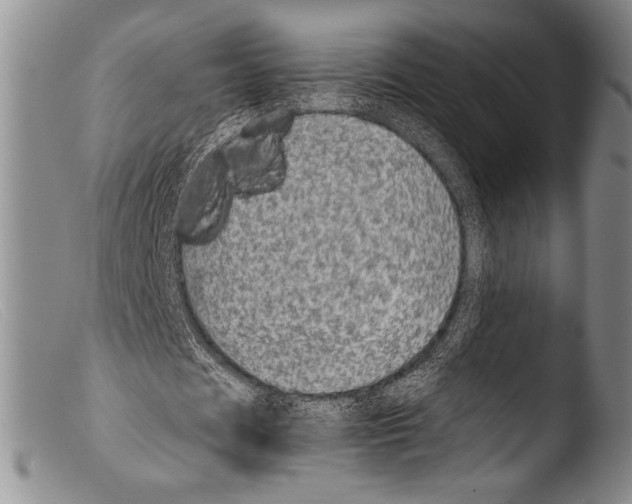 X0000103960625200810311615
