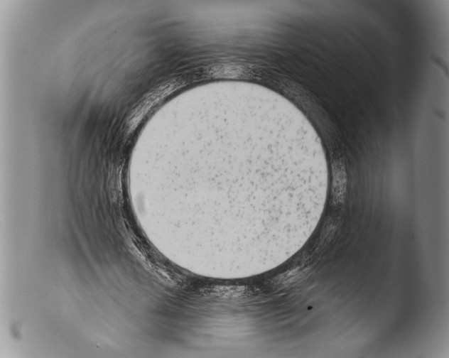 X0000103960626200810311615