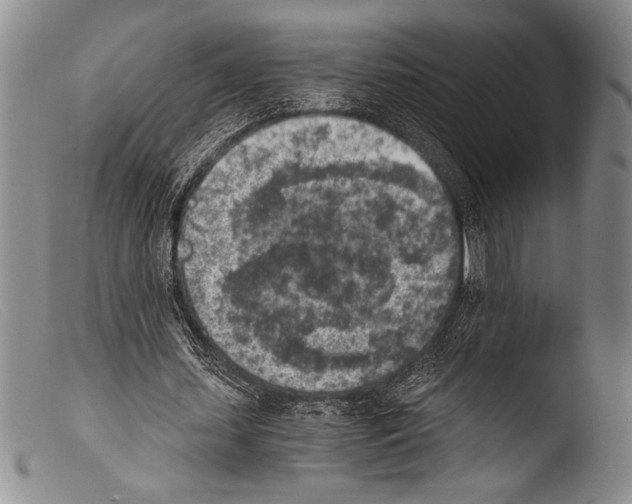 X0000103960627200810311615