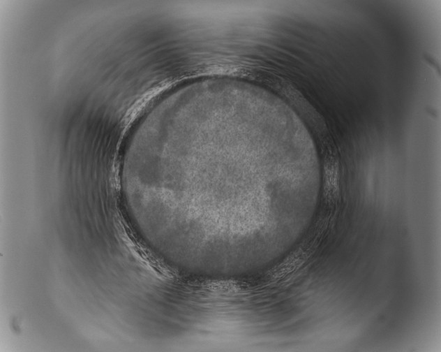 X0000103960628200810311615