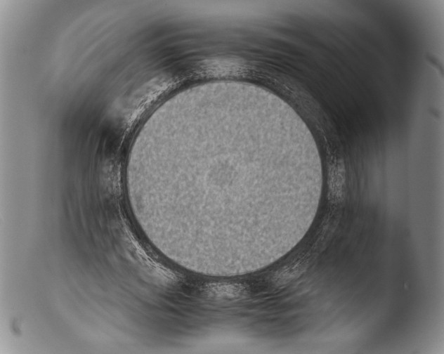 X0000103960629200810311615