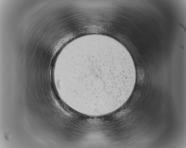 X0000103960630200810311615