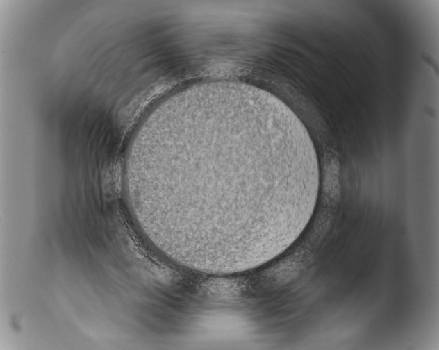 X0000103960632200810311615