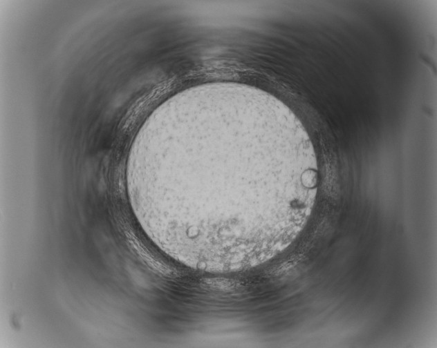 X0000103960633200810311615