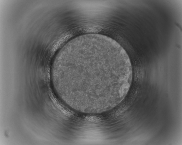 X0000103960634200810311615