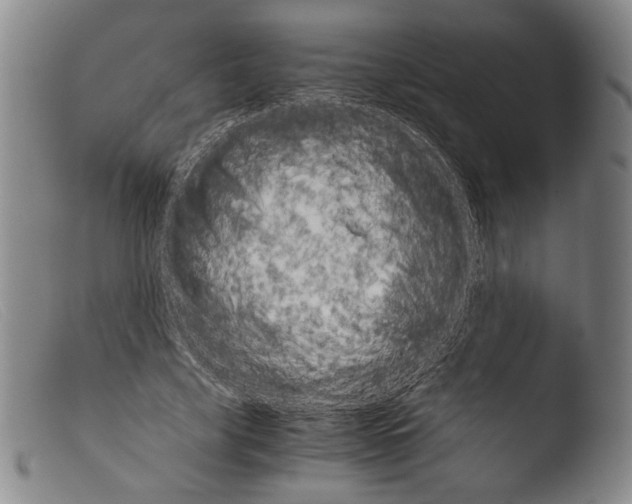 X0000103960635200810311615