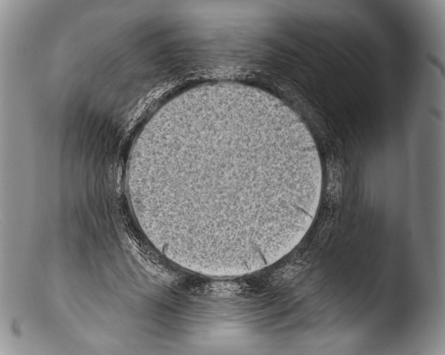 X0000103960636200810311615