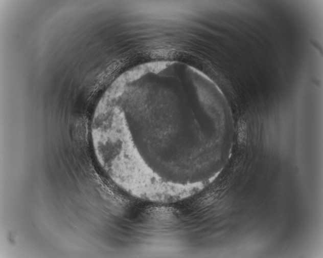 X0000103960637200810311615