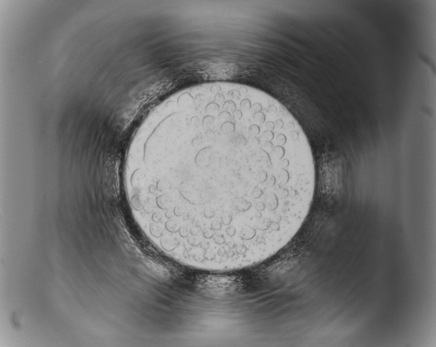 X0000103960638200810311615