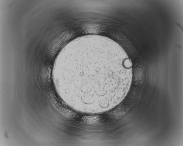 X0000103960639200810311615