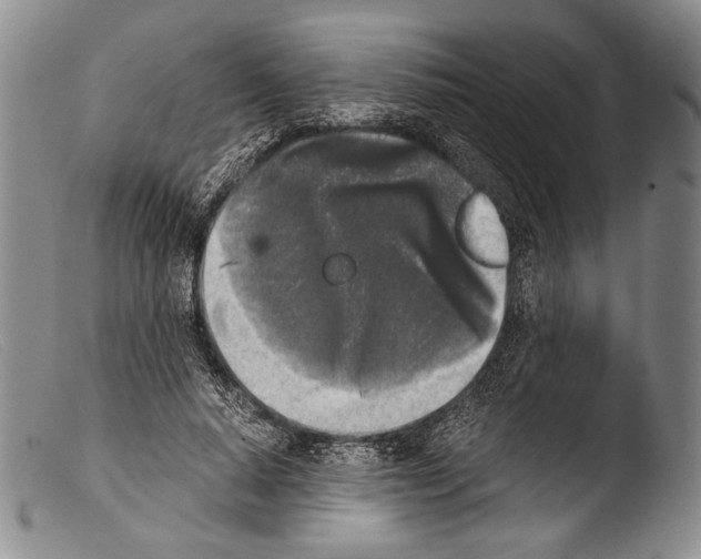 X0000103960640200810311615