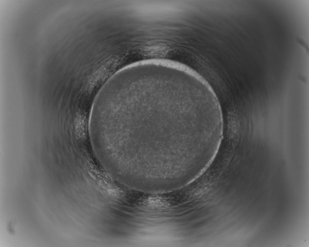 X0000103960641200810311615