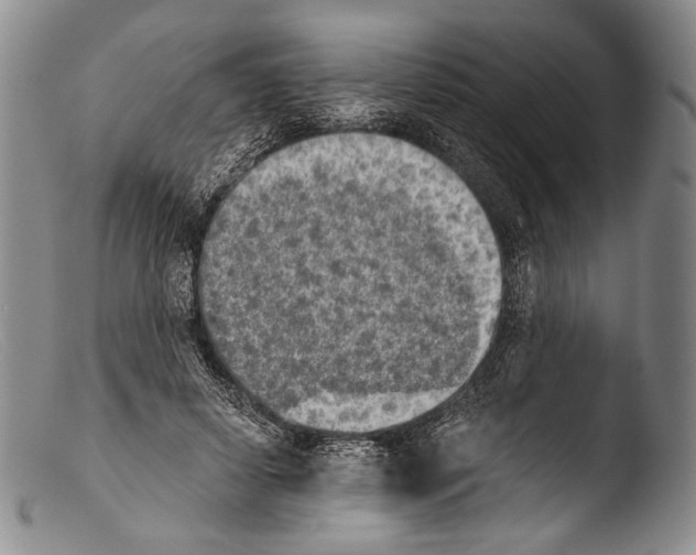 X0000103960642200810311615