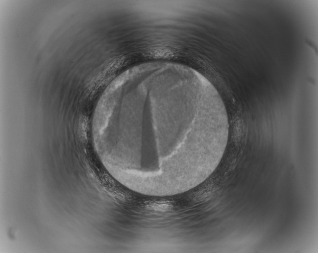 X0000103960643200810311615