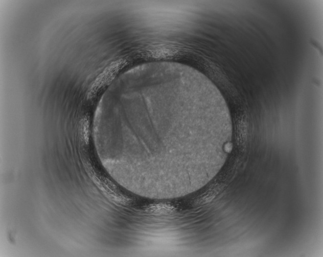X0000103960644200810311615