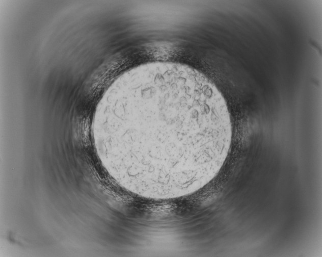 X0000103960646200810311615