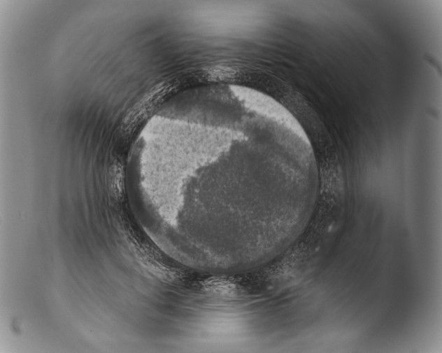 X0000103960648200810311615