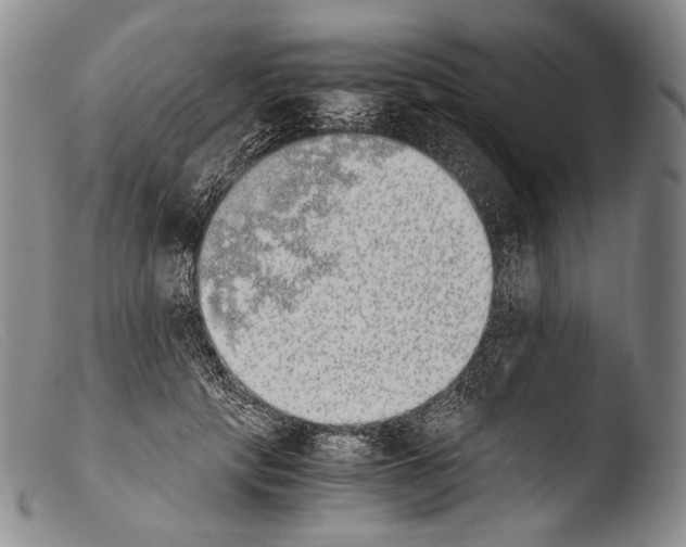 X0000103960649200810311615