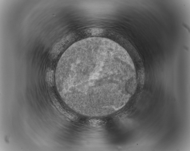 X0000103960650200810311615