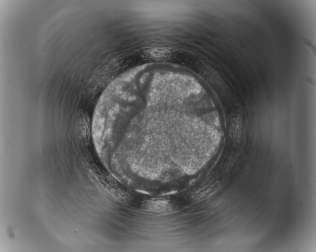 X0000103960651200810311615