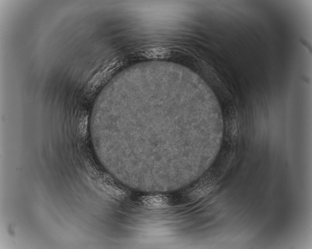 X0000103960652200810311615