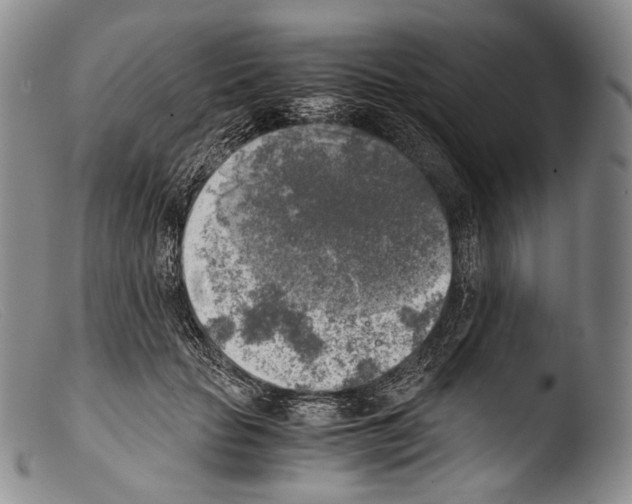 X0000103960653200810311615