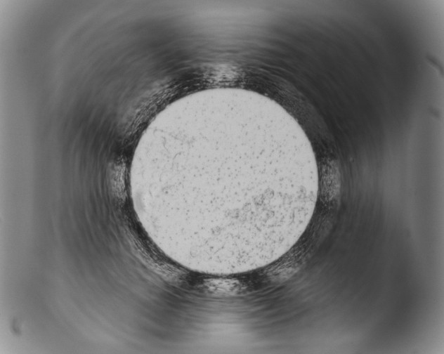 X0000103960654200810311615