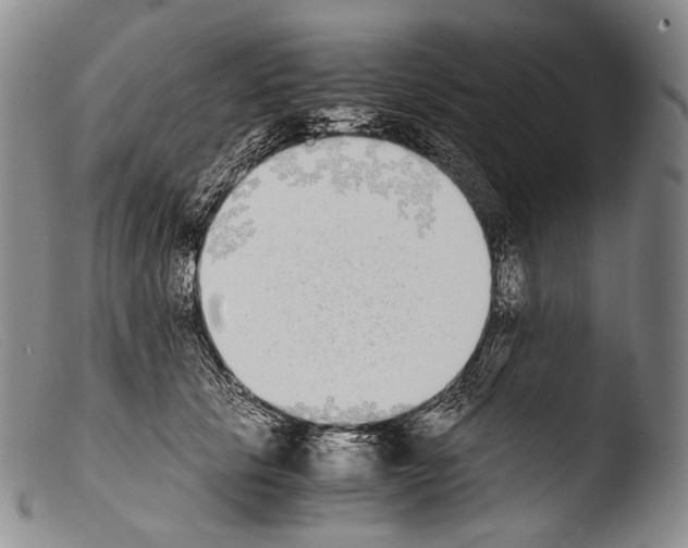 X0000103960657200810311615