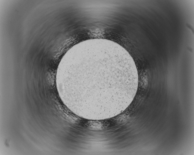 X0000103960658200810311615