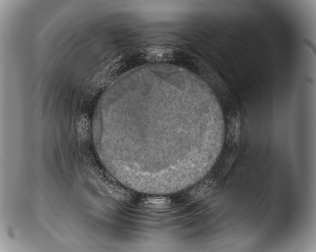 X0000103960659200810311615