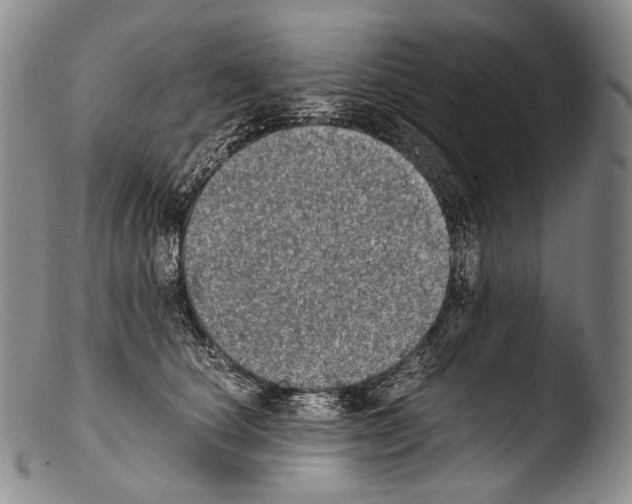 X0000103960660200810311615