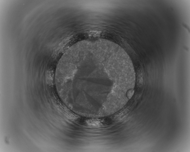 X0000103960661200810311615