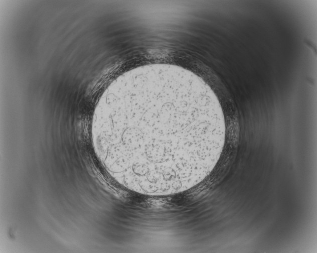 X0000103960662200810311615