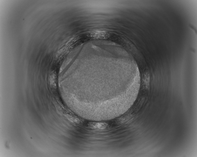 X0000103960663200810311615