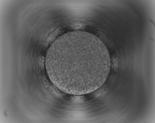X0000103960664200810311615